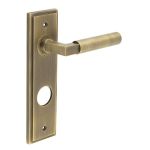 Burlington Westminster Lever on Back Plate