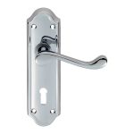 Ashtead Lever on Backplate
