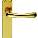 Ibra Lever On Backplate