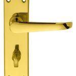 Victorian Ascot Lever on Backplate